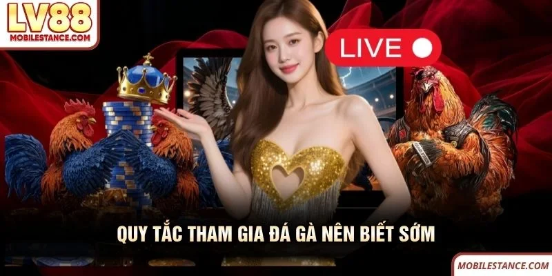 Quy tắc tham gia đá gà LV88 nên biết sớm